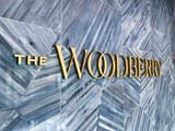 woodberry_9924-scaled-62220657