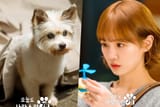 20230915021424_Park-Gyu-Young-5