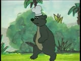 bear