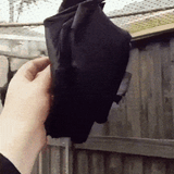fruit-bat-bat