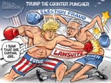 trump_counterpunch