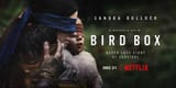bird_box_top[1]