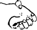 noserub