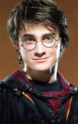 harrypottstein