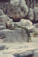 1631467141750