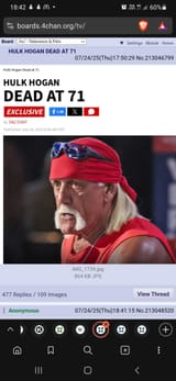 Screenshot_20250724-184208_Brave