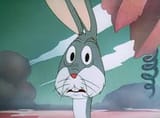 bugs1