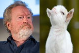 ridleygoat