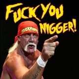 hulk hogan