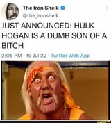 shiek