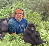 gorilla nest