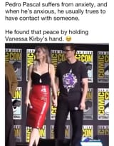 78293424