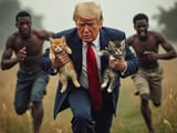 cats-trump-terraverde