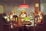 il_fullxfull.2903344336_gkc3-758317653