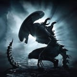 alien xenomorph