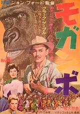 mogambo-md-web