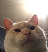 1655836561178