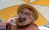 Planet of the Apes