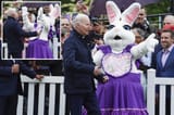 joe-biden-easter-bunny-comp