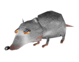 Rat-transparent
