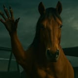 neigh