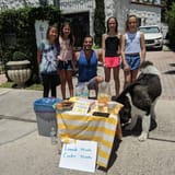 henry lemonade
