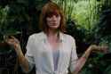 bryce dallas howard muddy_thumb.jpg