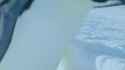 1642801963800_thumb.jpg