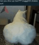 catass