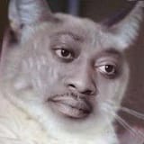 1586966693880