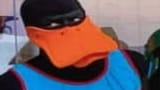 1733285110267255