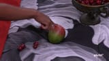vlcsnap-2025-08-01-18h56m05s542