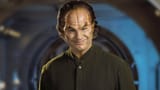 phlox
