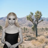 AYY LMAO