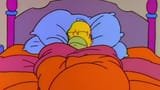 homer blanket