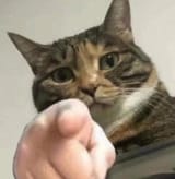 1698516123327426