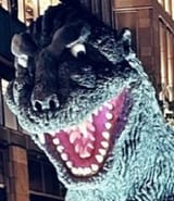 Goji spots something