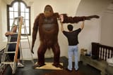 Gigantopithecus1