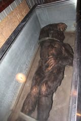 Minnesota-Iceman-8