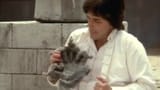 kungpow-squirrel