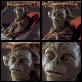 mfw yaddle