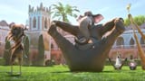 as-can-see-nangi-an-elephant-shell-totally-remember-everything