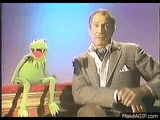 Kermit&amp; VPrice