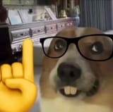 1753835891933271