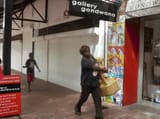 stealing a guide dog