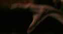 bsd 1688841778045114_thumb.jpg