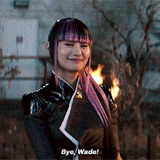 Bye Wade