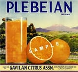 pleb