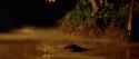 Apocalypse Now (4)_thumb.jpg