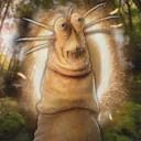 the-last-jedi-mentioned-in-2025-we-up-v0-o3r5gd2y53gf1